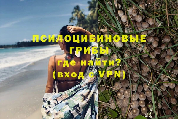 амф Белокуриха